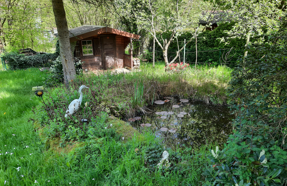 Garten mit Teich und Gartenhaus